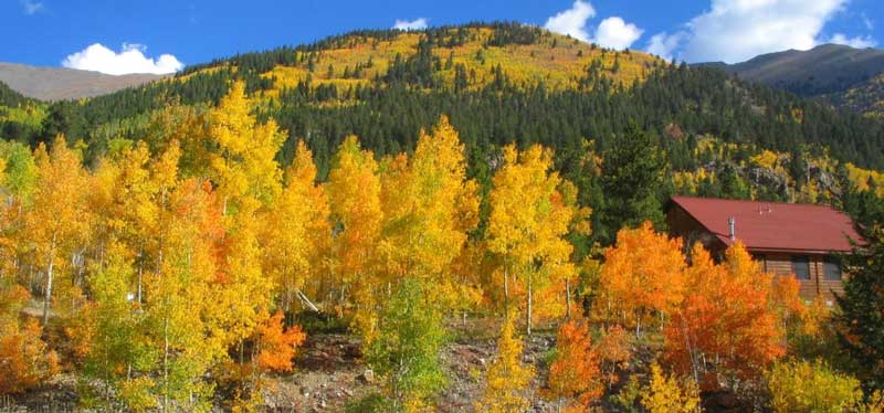 colorado-fall-foliage3