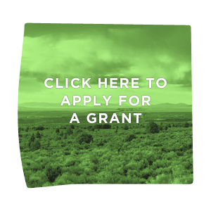 Click here to Apply for a Grant - Taos Community Foundation - Clickable