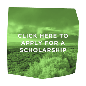 Click here to Apply for a Scholarship Taos Community Foundation Clickable Taos Community Foundation https://www.taoscf.org/wp-content/uploads/2023/06/TCF-Website-Logo.png