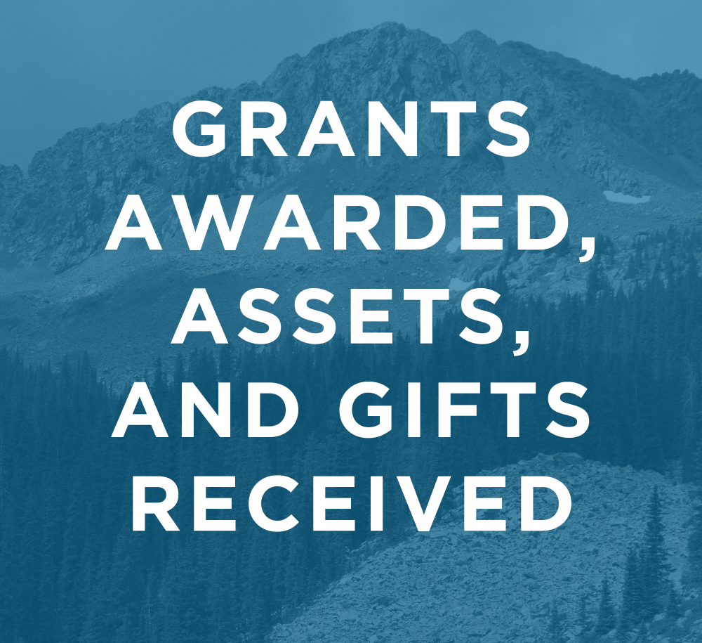 2024 Grants Awarded, Assets, and Gifts Received